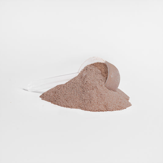 Chocolate Plant Protein Powder