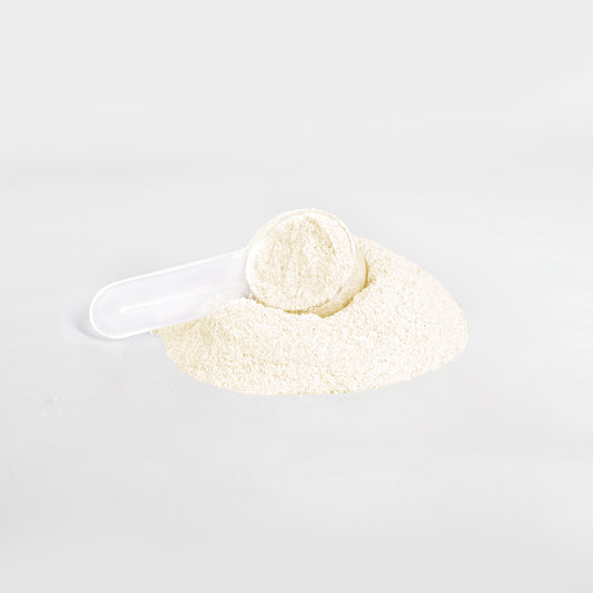 Lemonade Hydration + Electrolyte Powder
